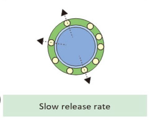 slow release rate Slow release rate